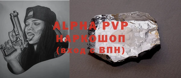 хмурый Осинники