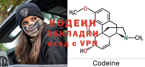хмурый Осинники