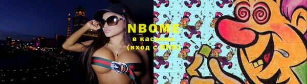 хмурый Осинники