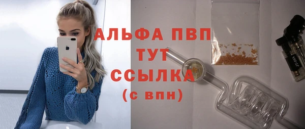 хмурый Осинники