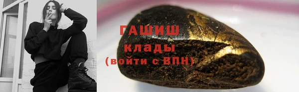 хмурый Осинники
