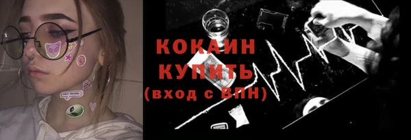 хмурый Осинники