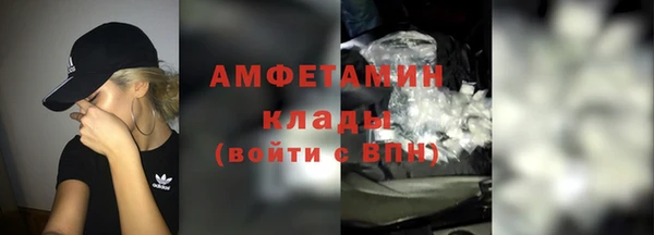 хмурый Осинники
