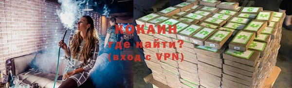 хмурый Осинники
