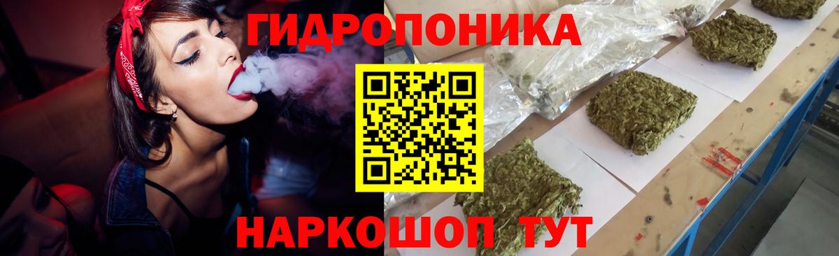 Шишки марихуана тримм  Вход с VPN  Шишки марихуана LSD WEED  Вольск 